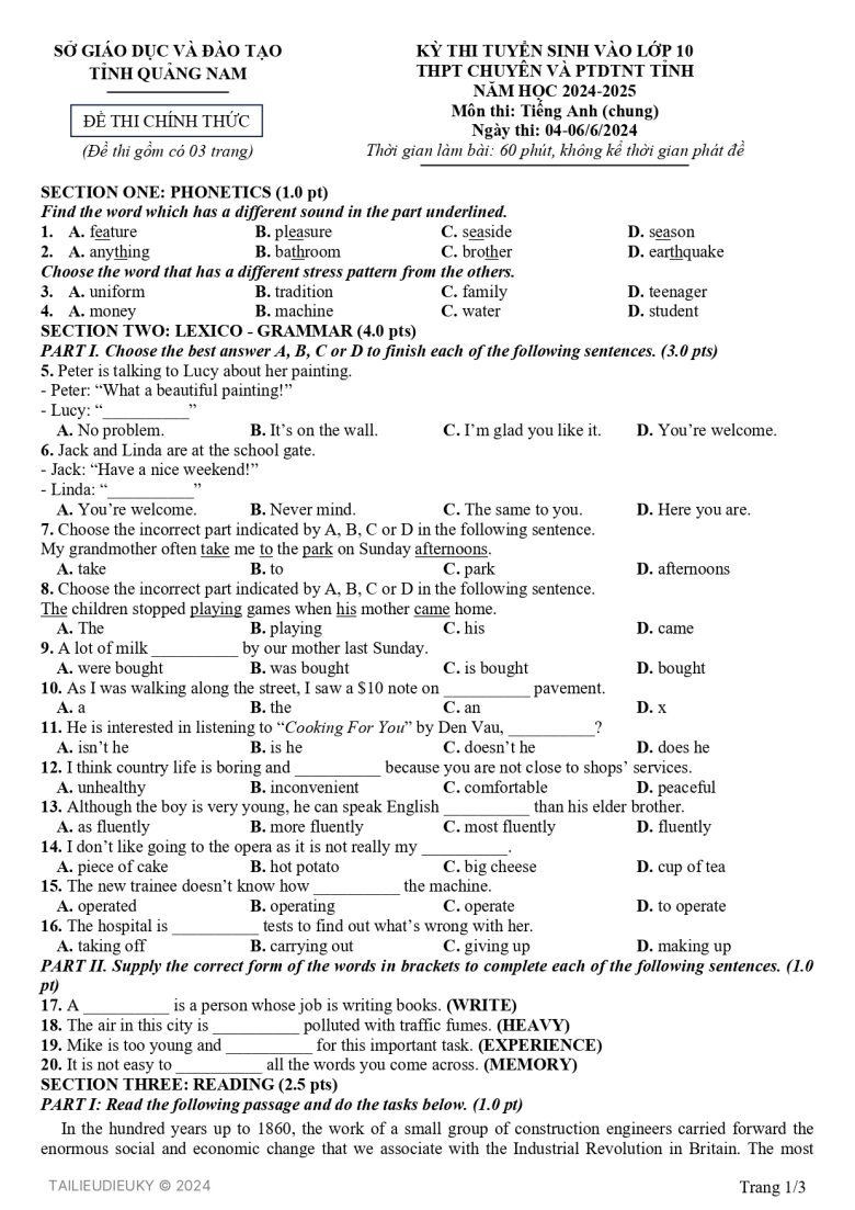 Đề thi Tiếng Anh 10 Sở GD-ĐT Quảng Nam 2024-2025 - 1/3